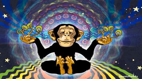 An ape beholds a magic illusion